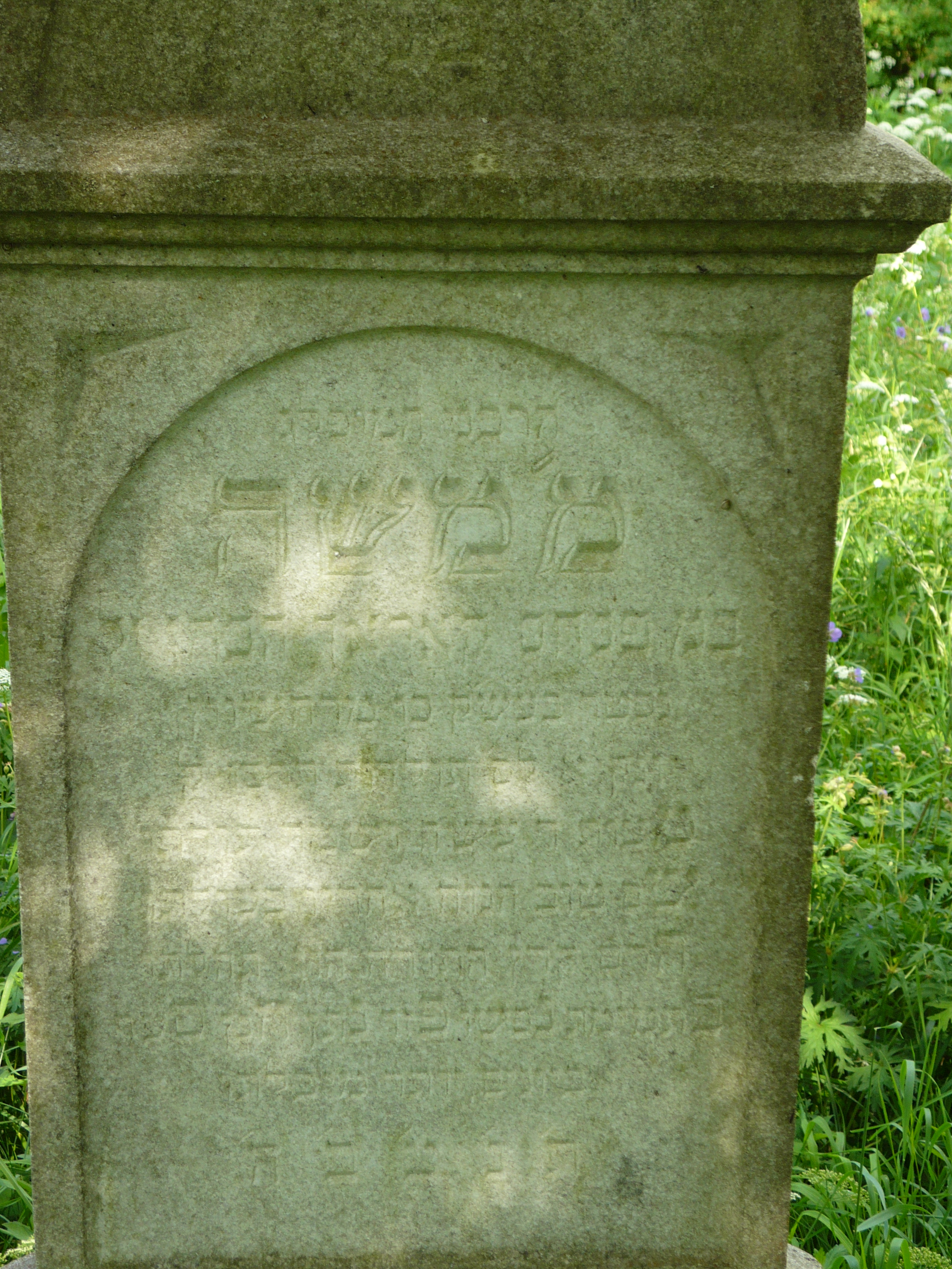 P1000052.JPG