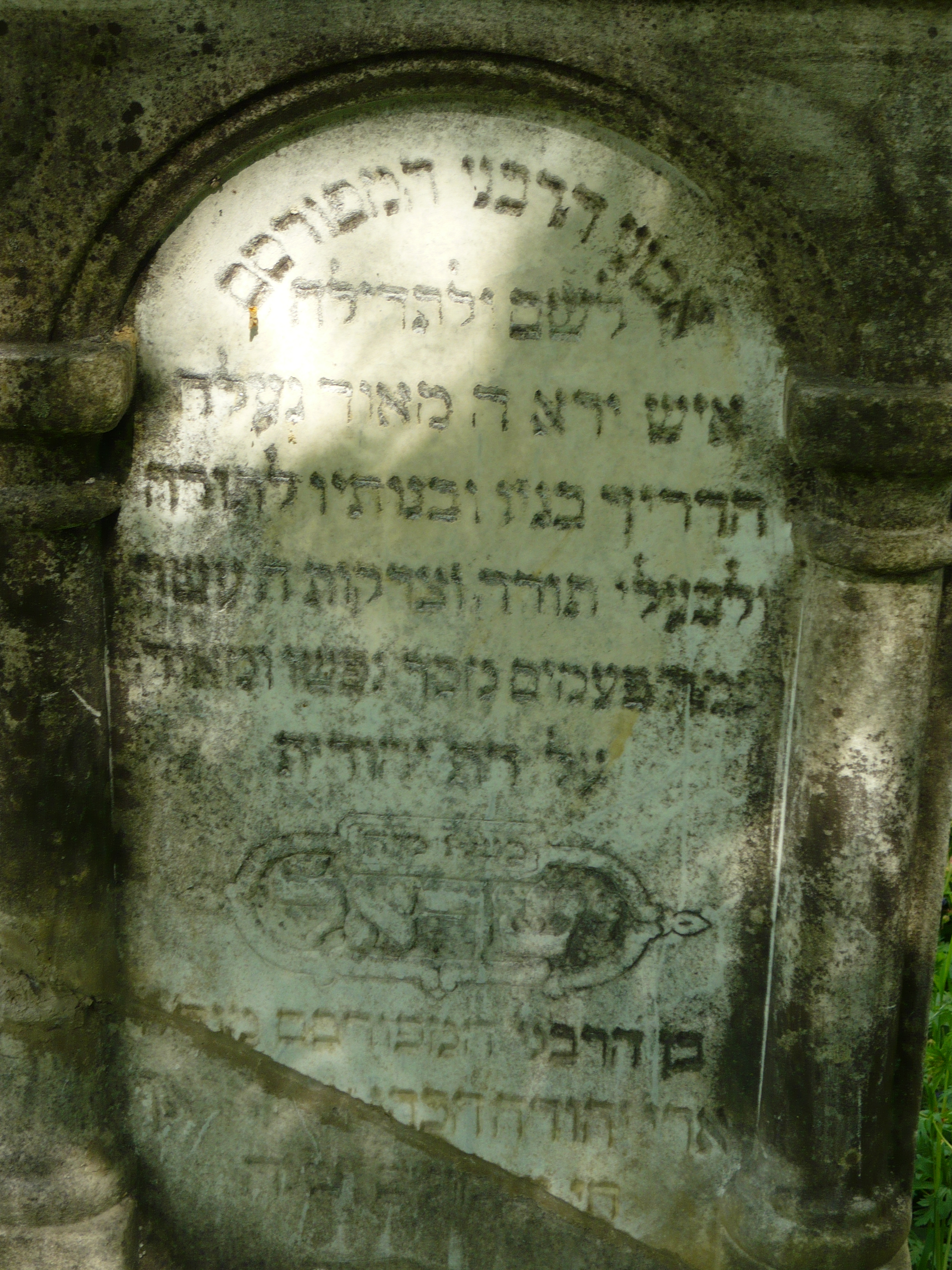 P1000053.JPG