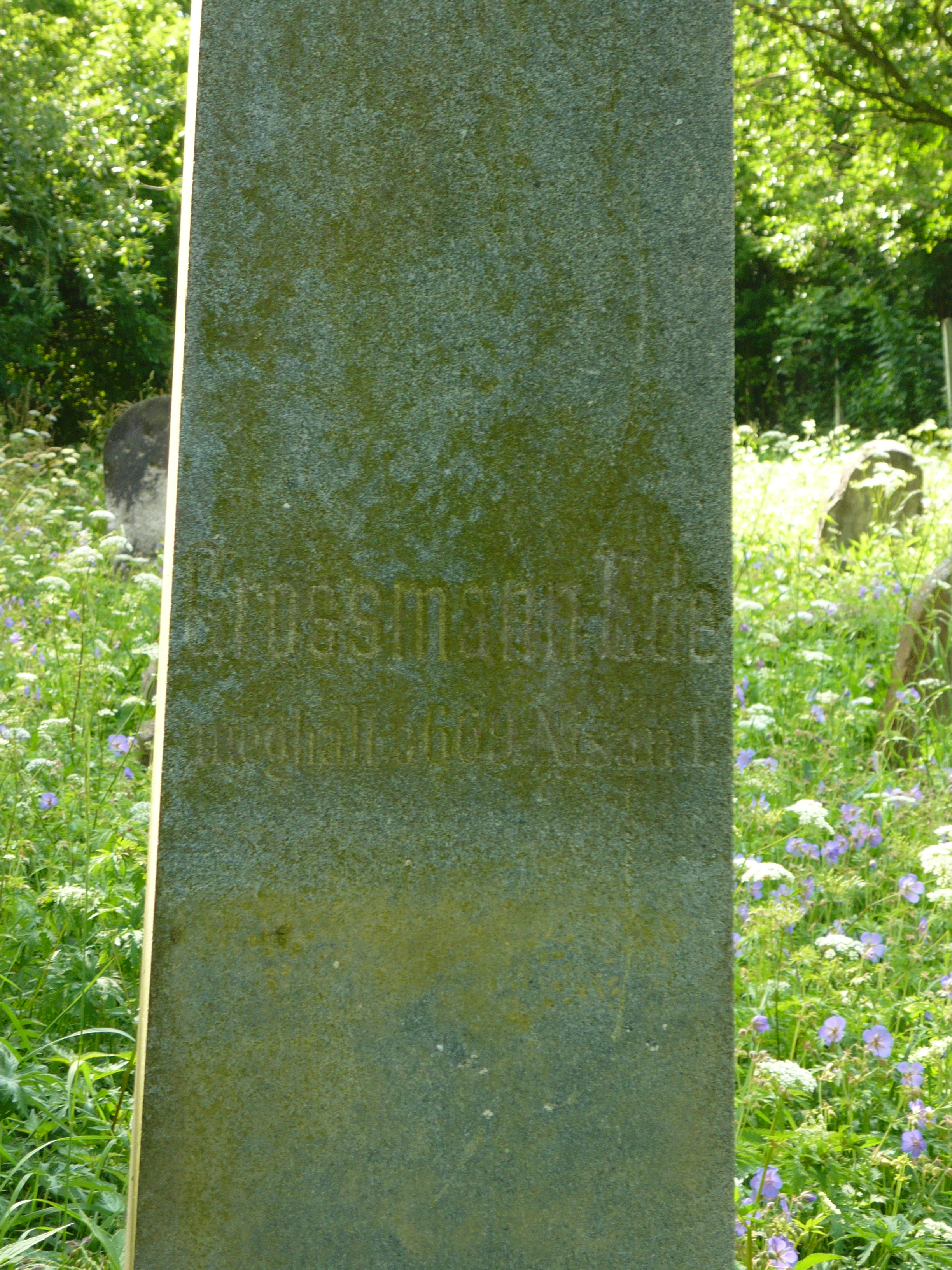 P1000056.JPG