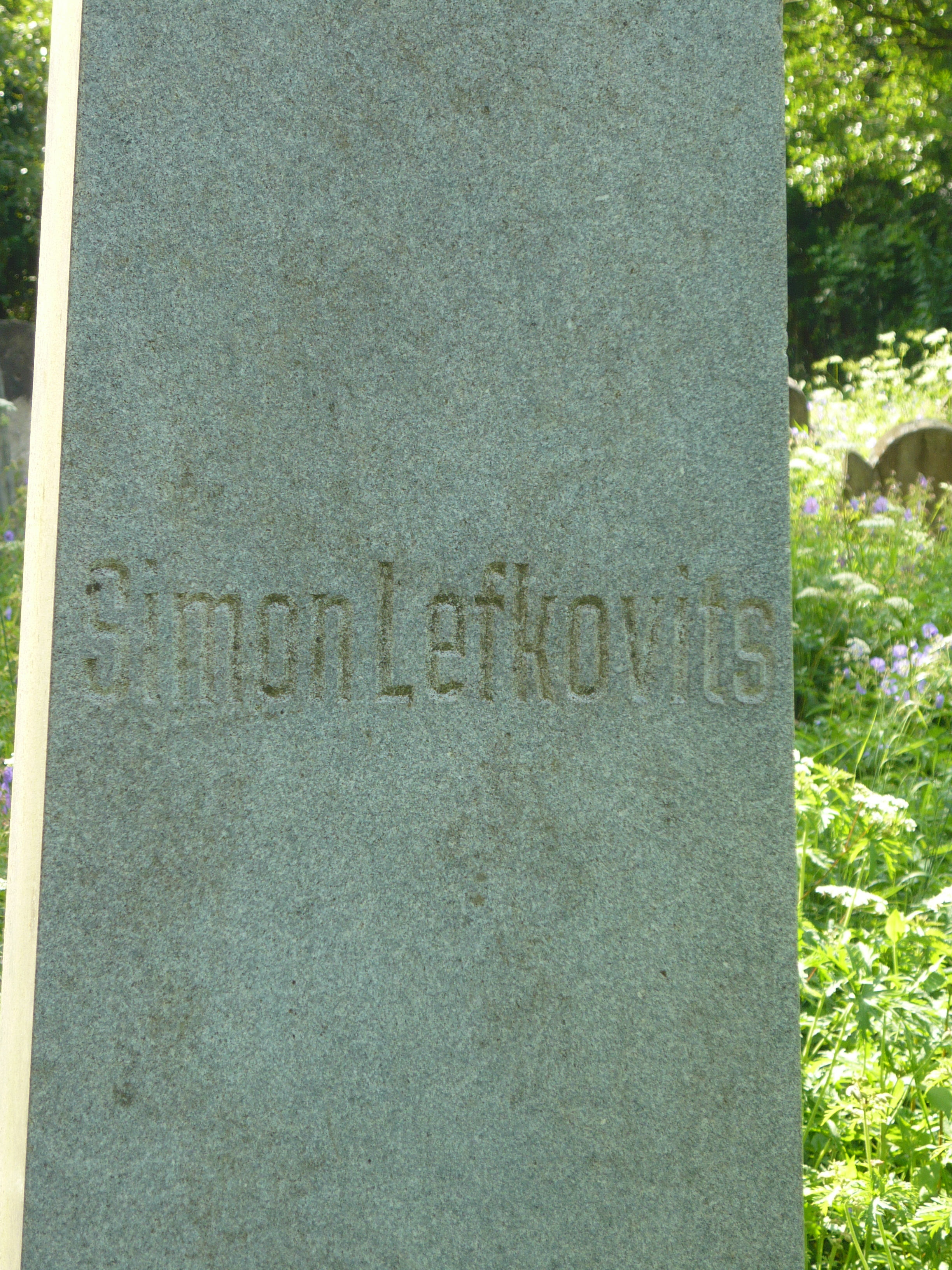P1000057.JPG