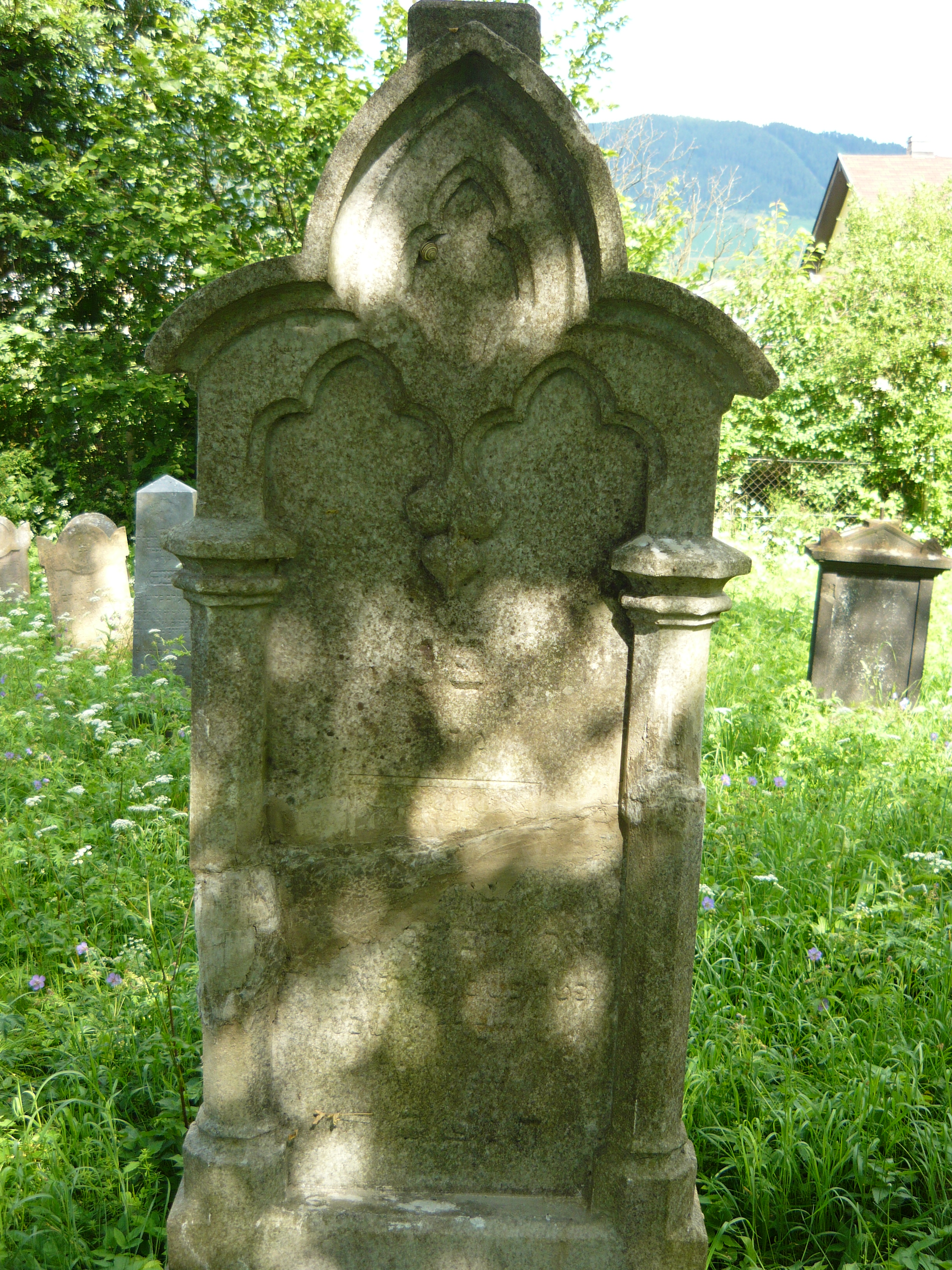 P1000049.JPG