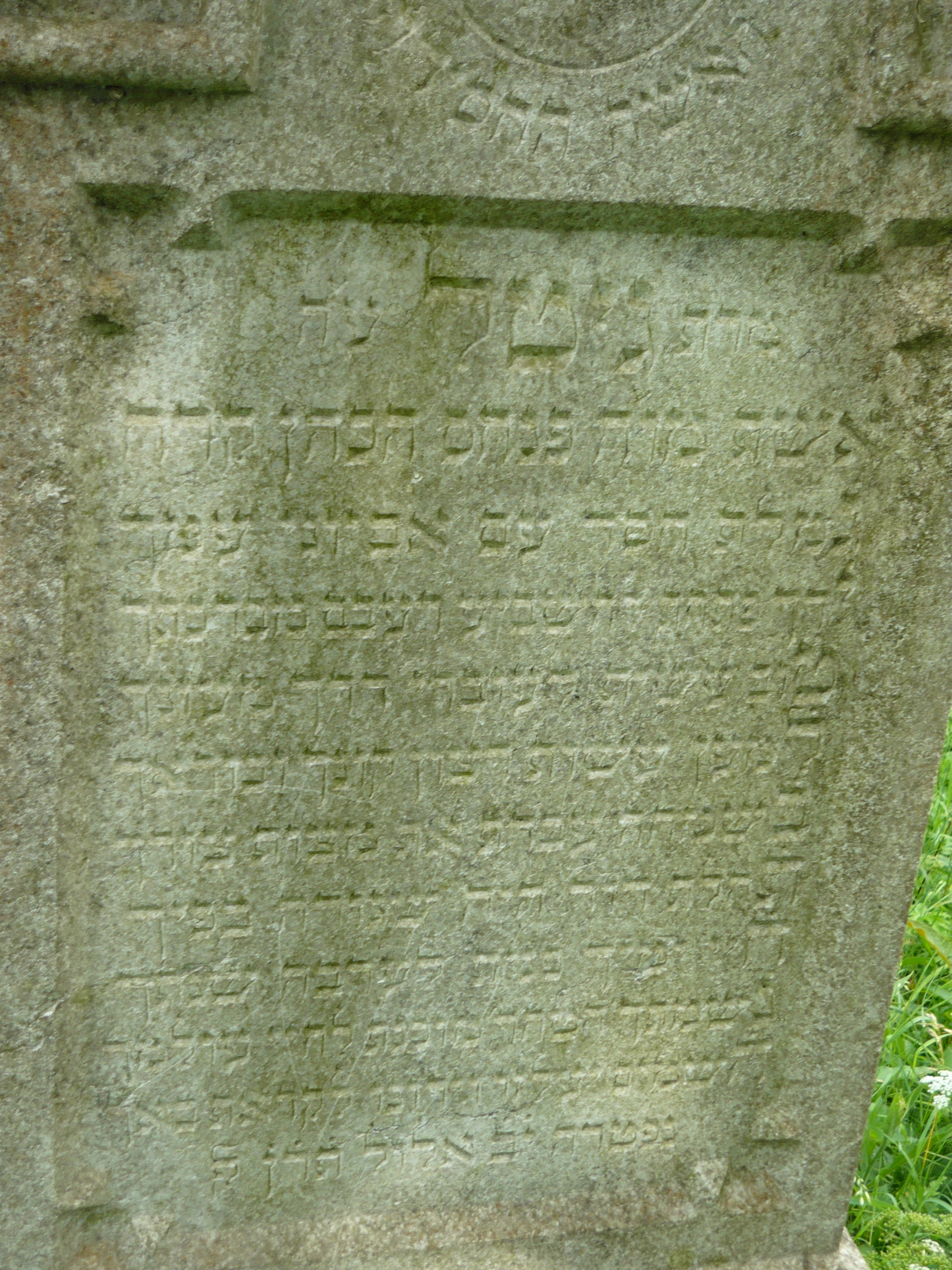 P1000061.JPG