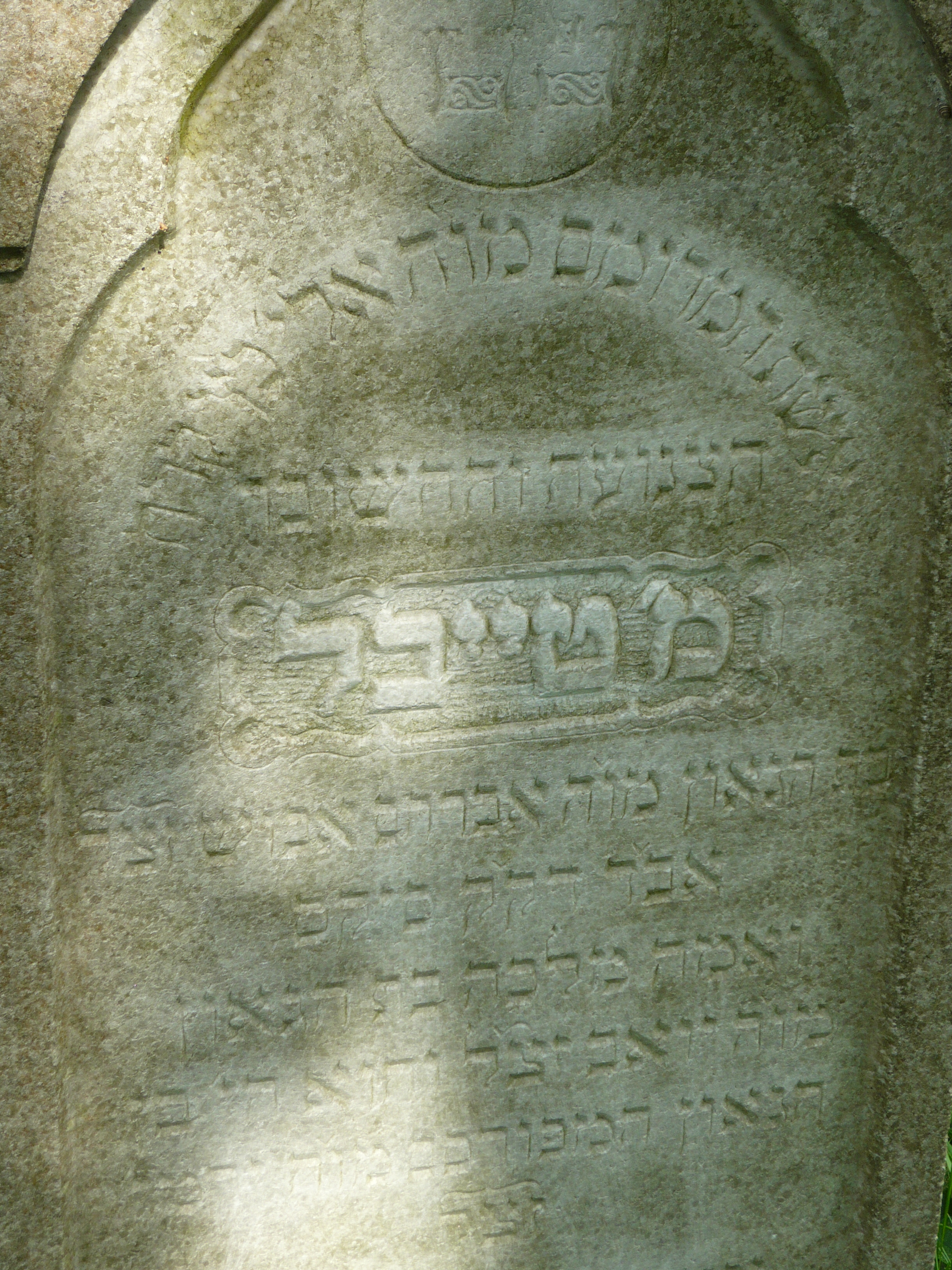 P1000062.JPG