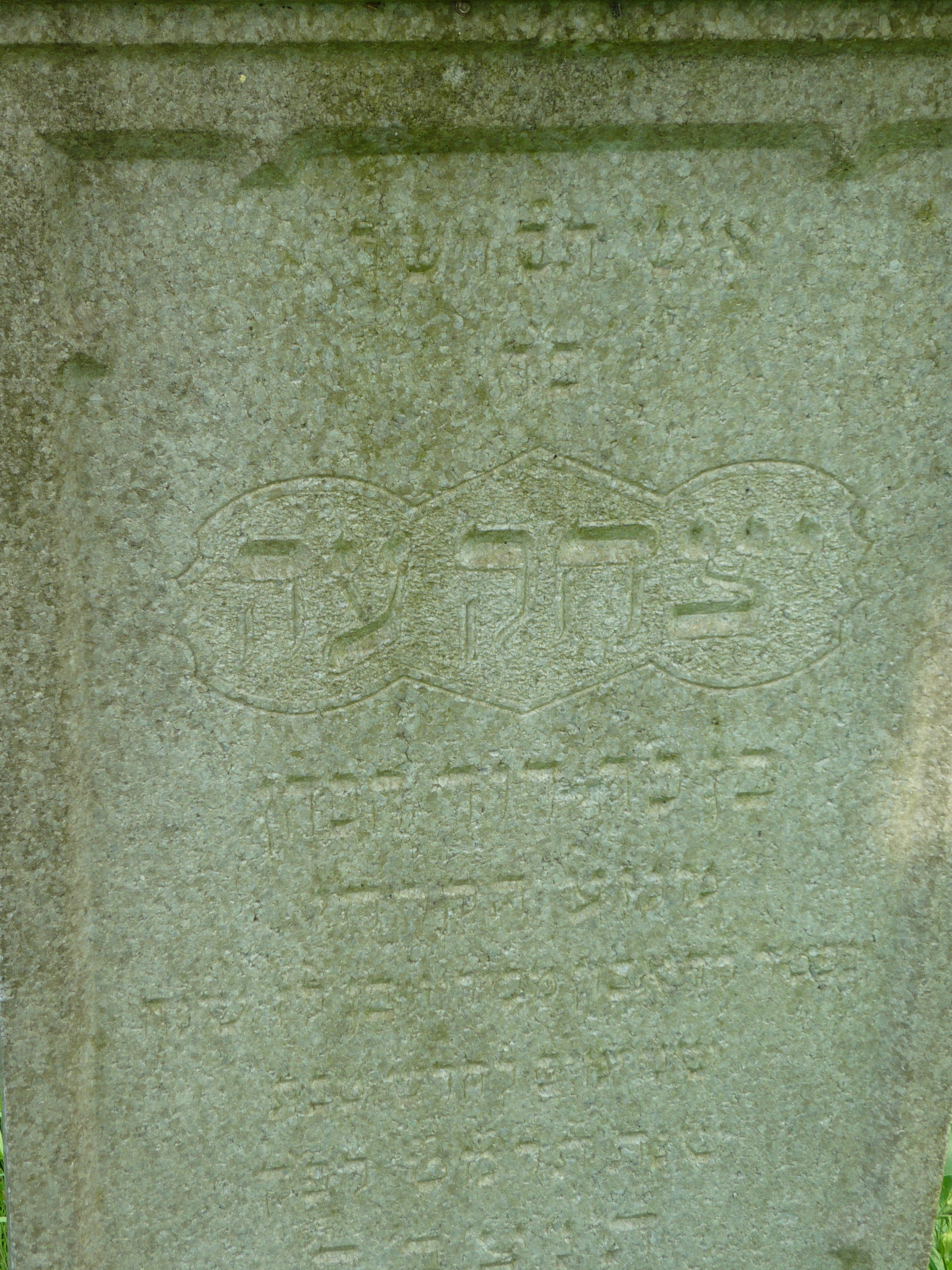 P1000063.JPG