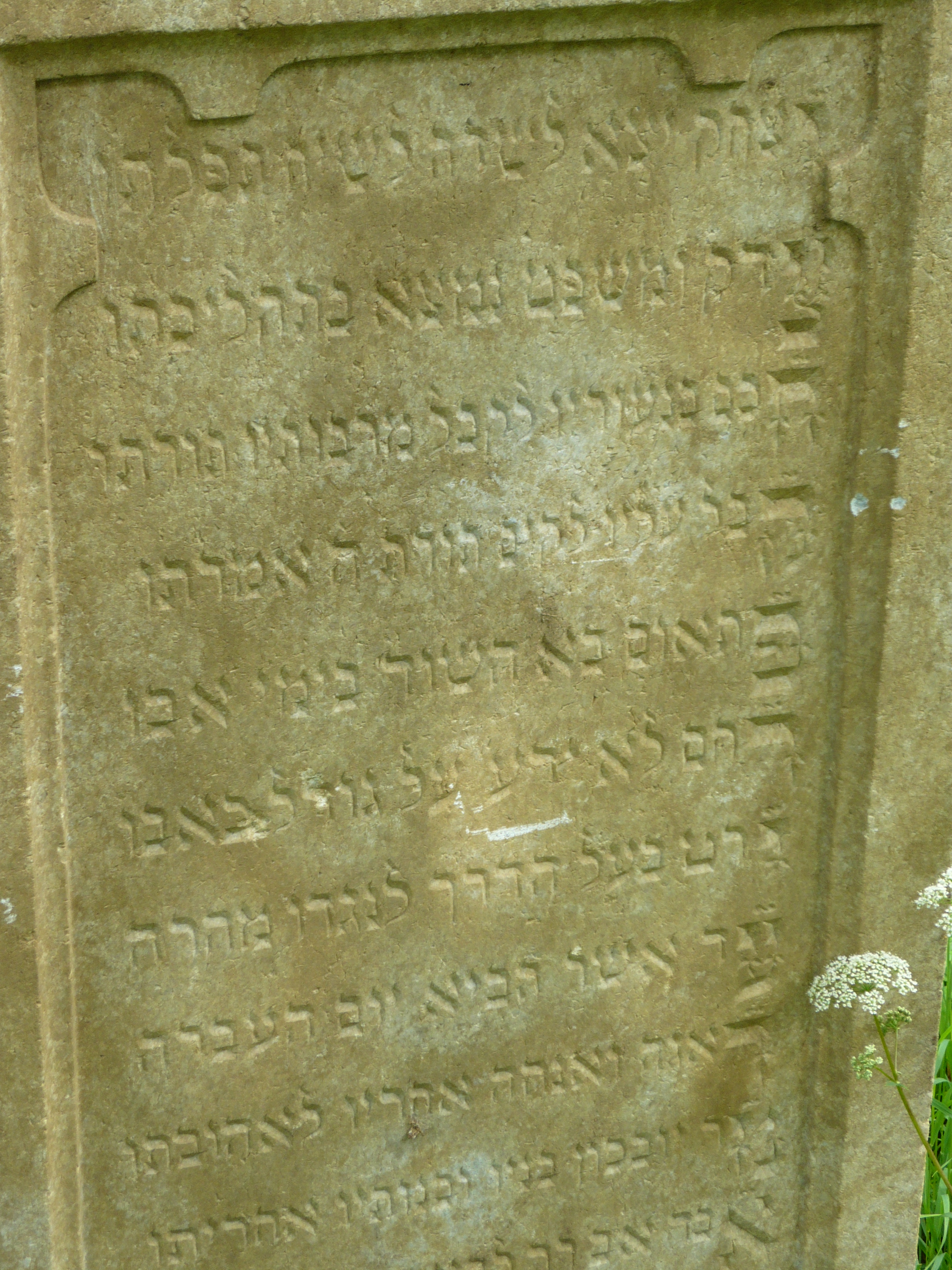 P1000064.JPG