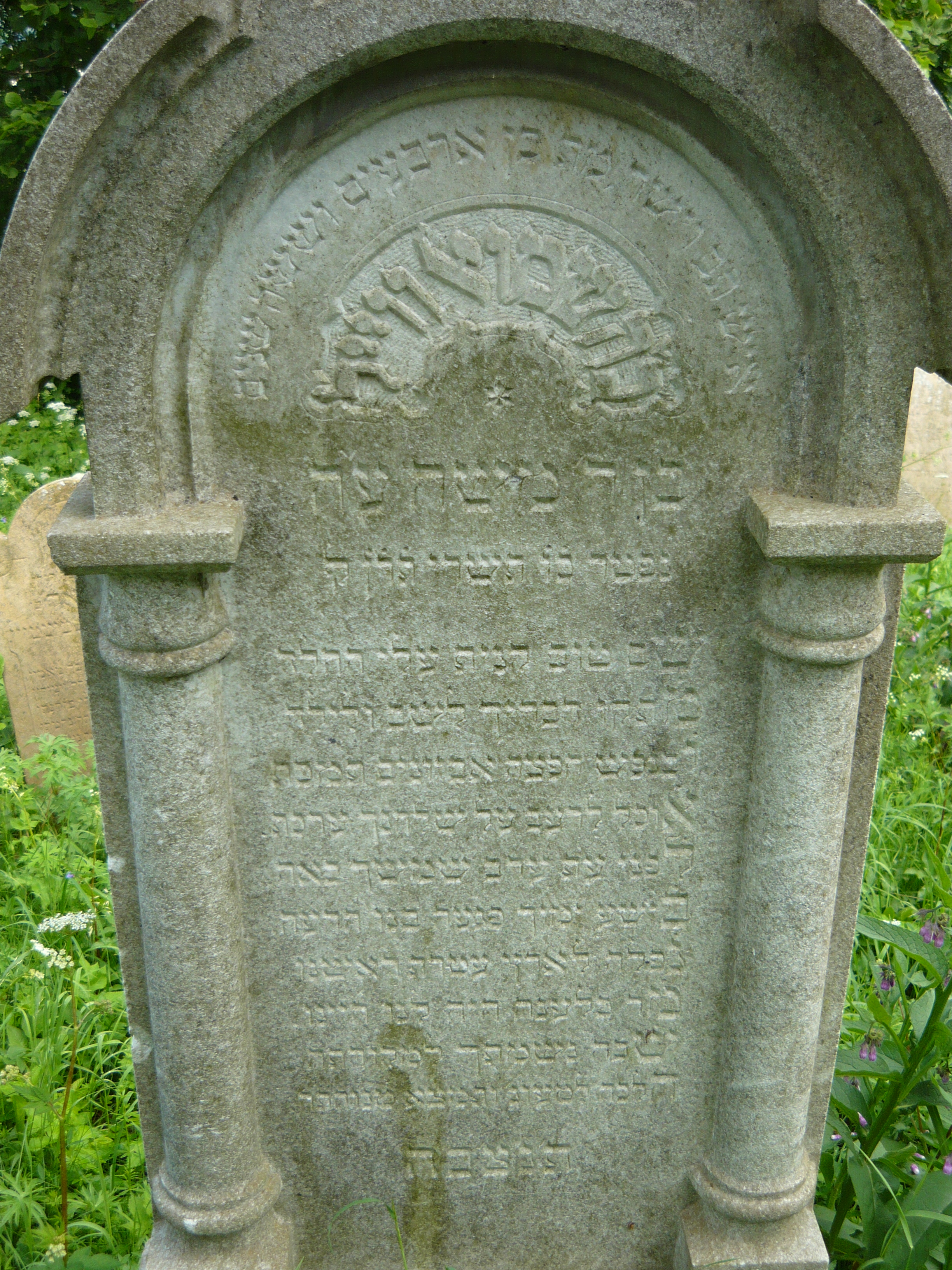 P1000066.JPG