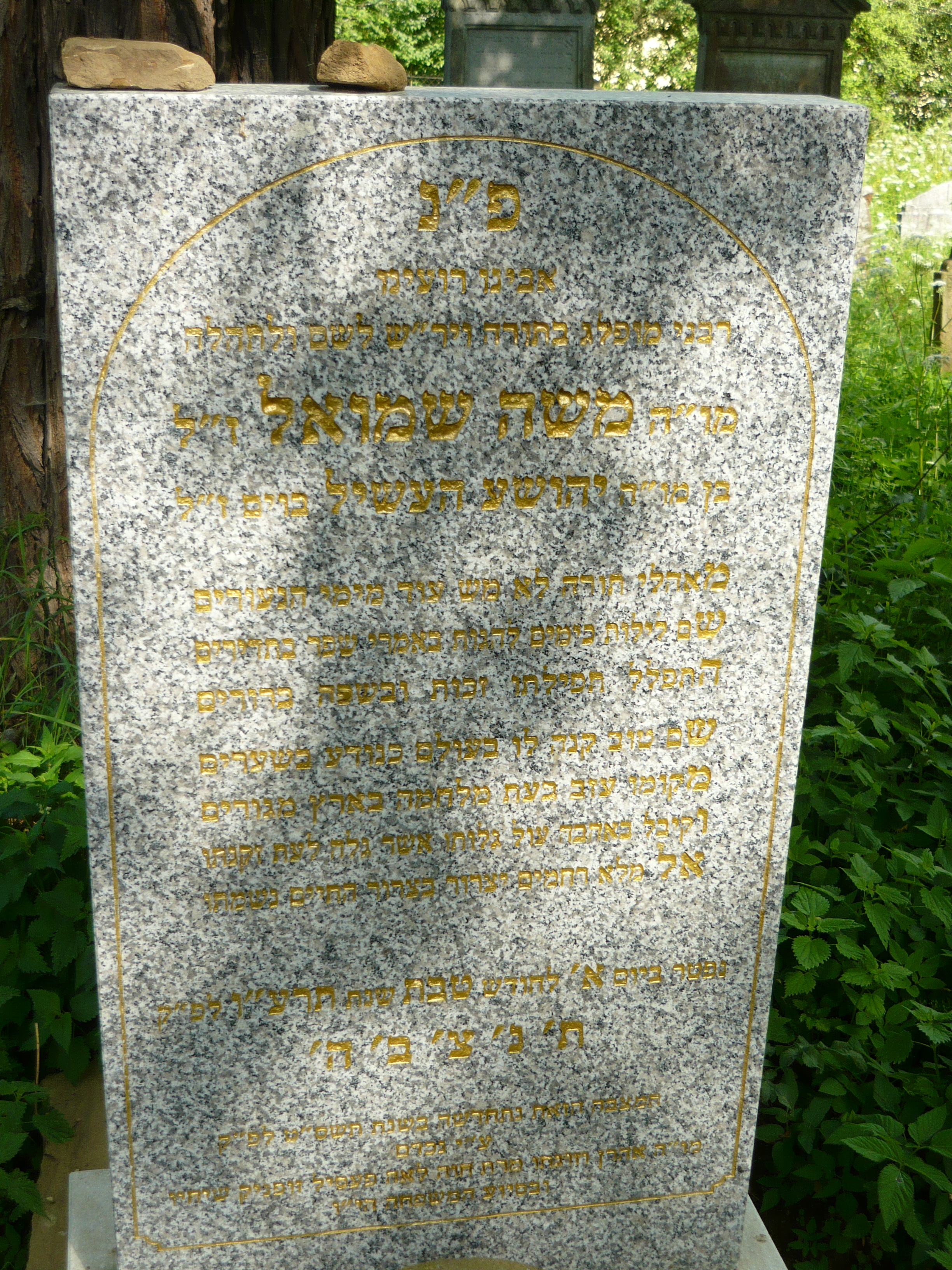 P1000046.JPG