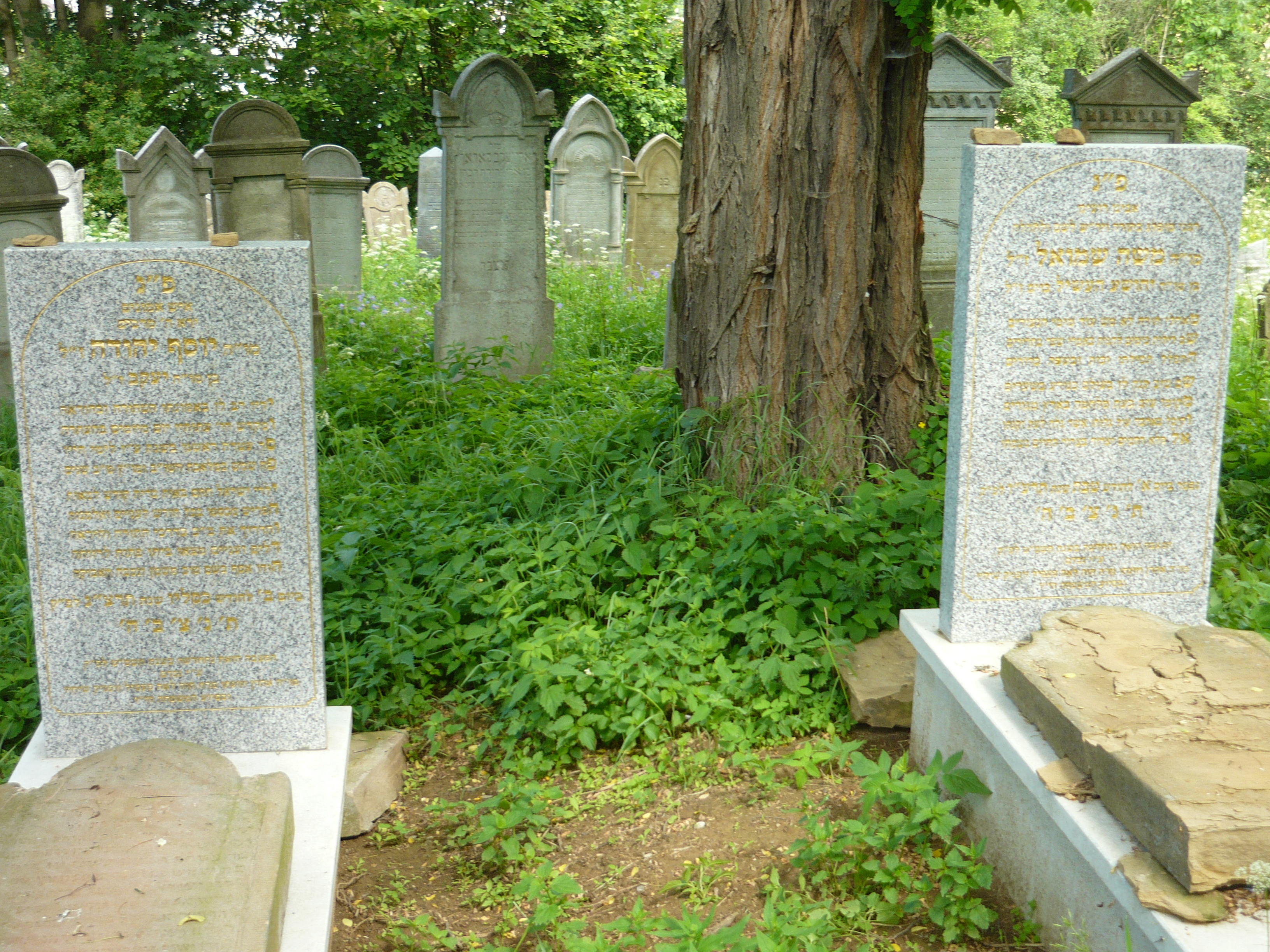 P1000067.JPG