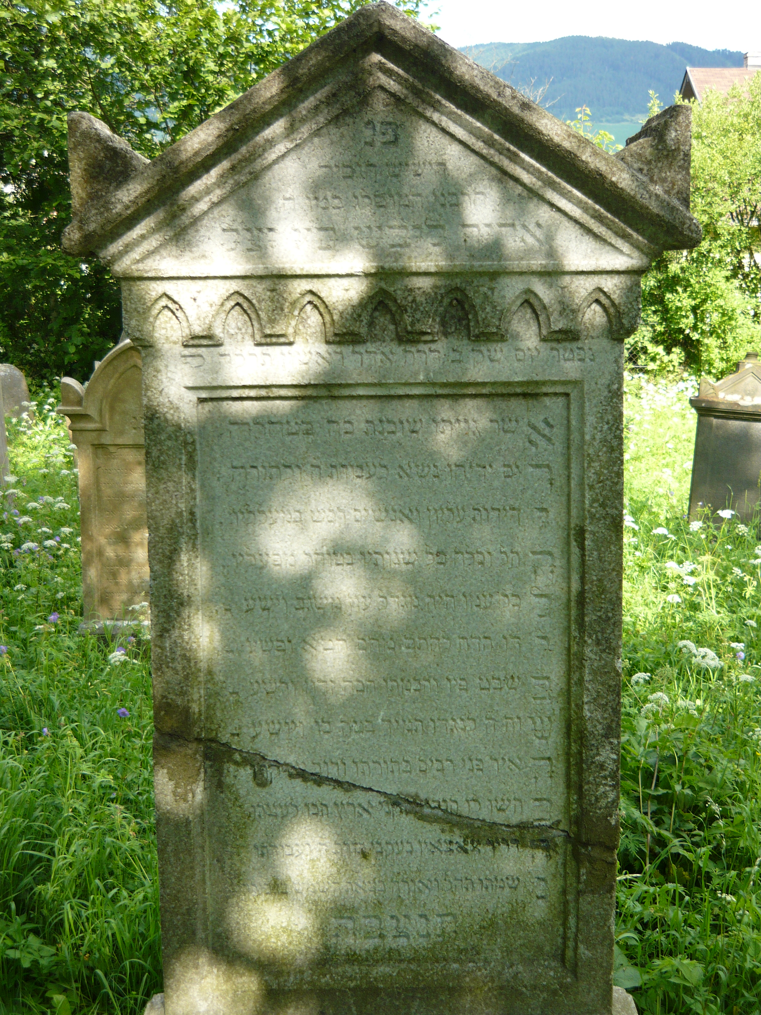 P1000048.JPG