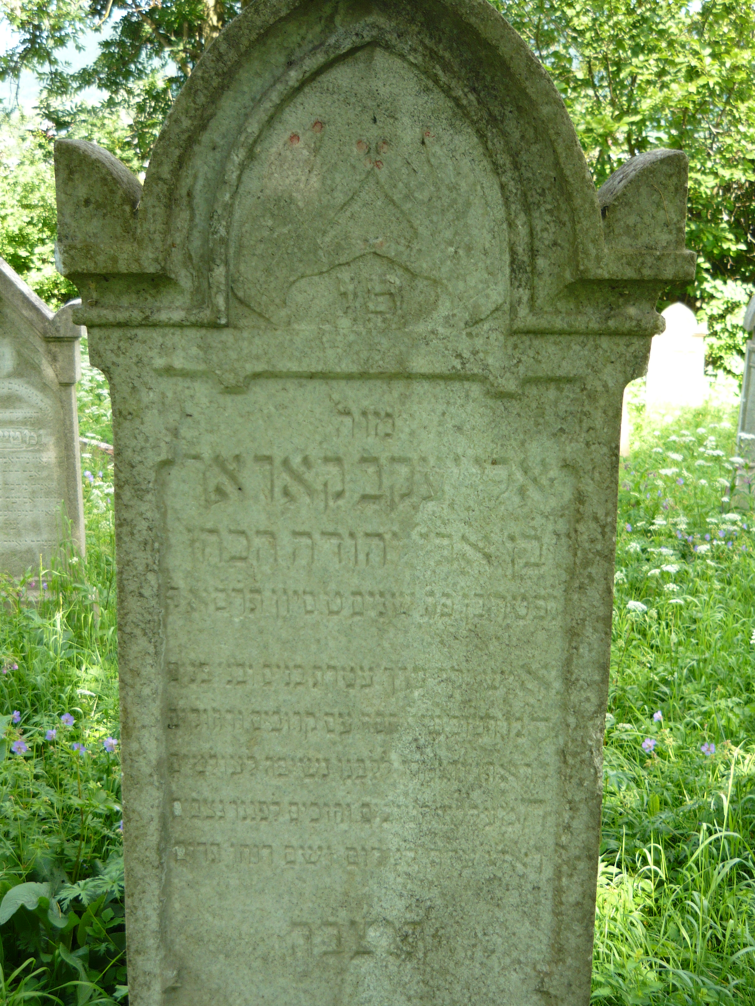 P1000050.JPG
