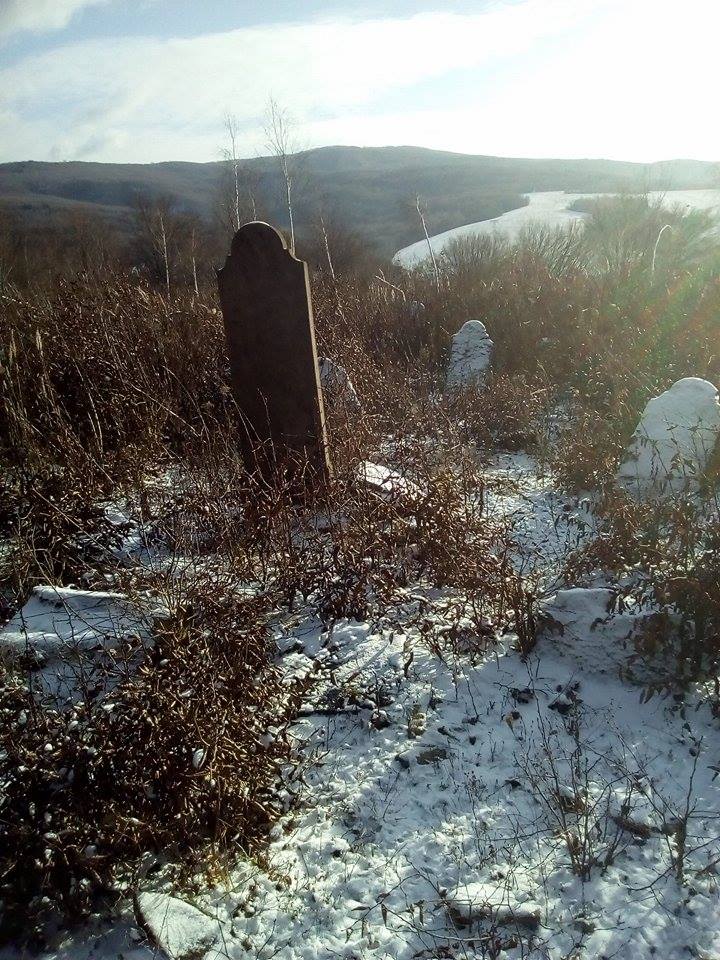 20732928_1504350252921669_229942346_n